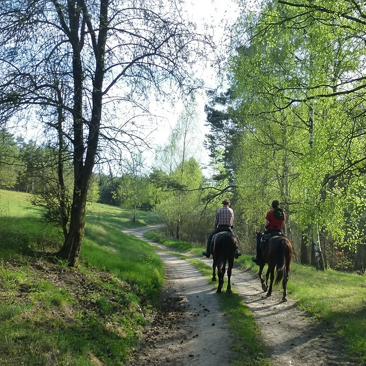 Weekendowy rajd gwiaździsty